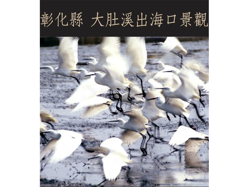 sGhttp://www.changhua-ebooks.com/tw/ebooks?view=adm_ebook&id=45